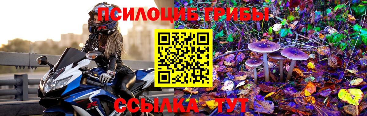 ГАШ Дагестанские Огни
